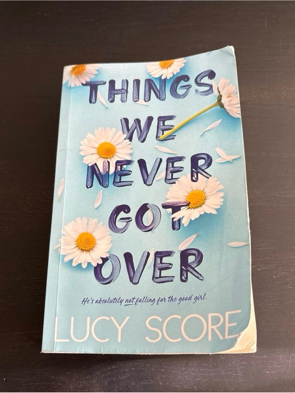 Things We Never Got Over by Lucy Score - Blue Daisy Cover
